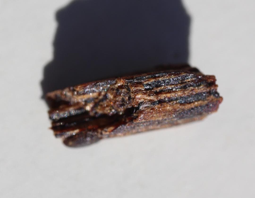 香木 古渡命銘木 「初音」約0.3g 小分け沈香 伽羅 奇南 奇楠 お香 香道