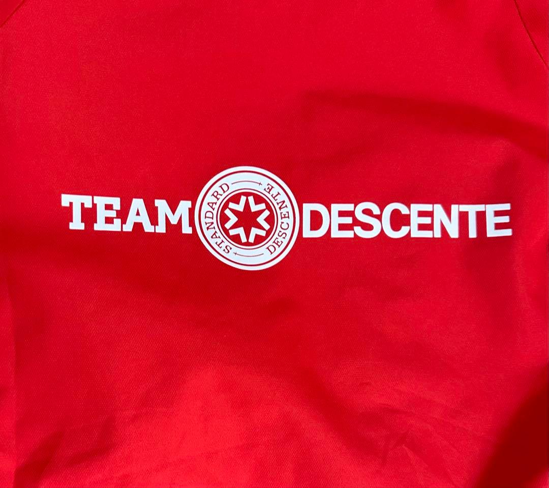 TEAM DESCENTE デサント　上下セットアップ　希少サイズ