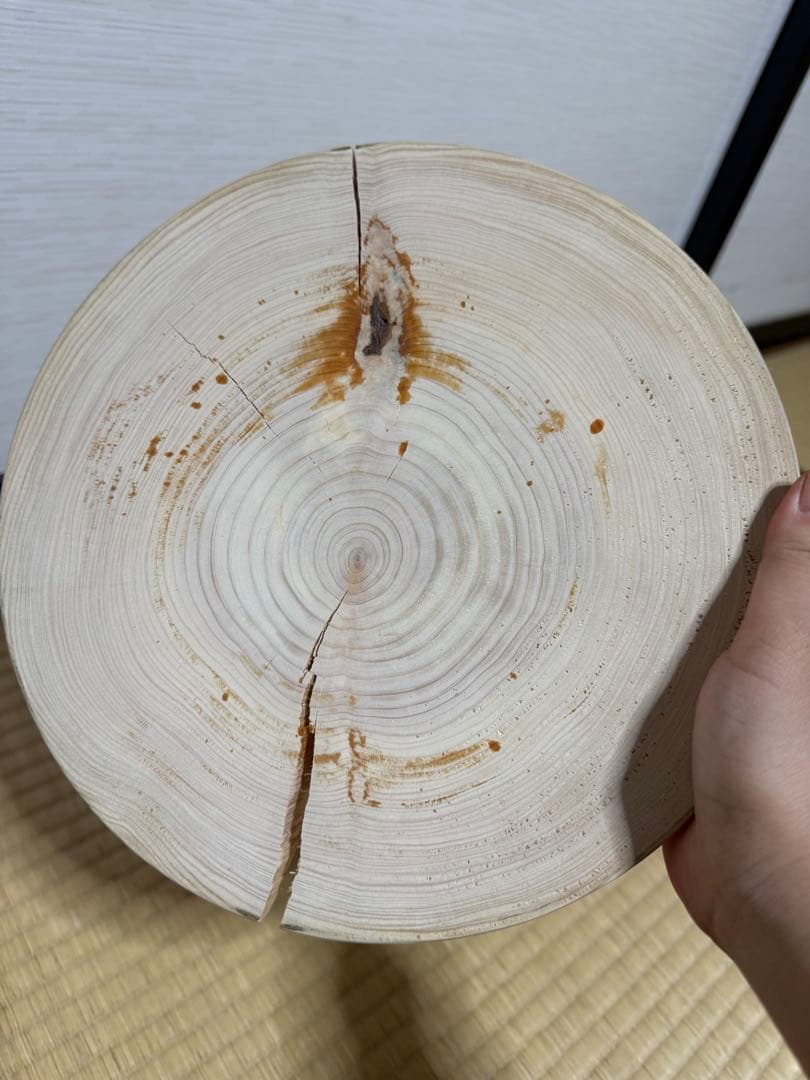 Naruki Takahashi 髙橋成樹 フルーツスタンド型 置物