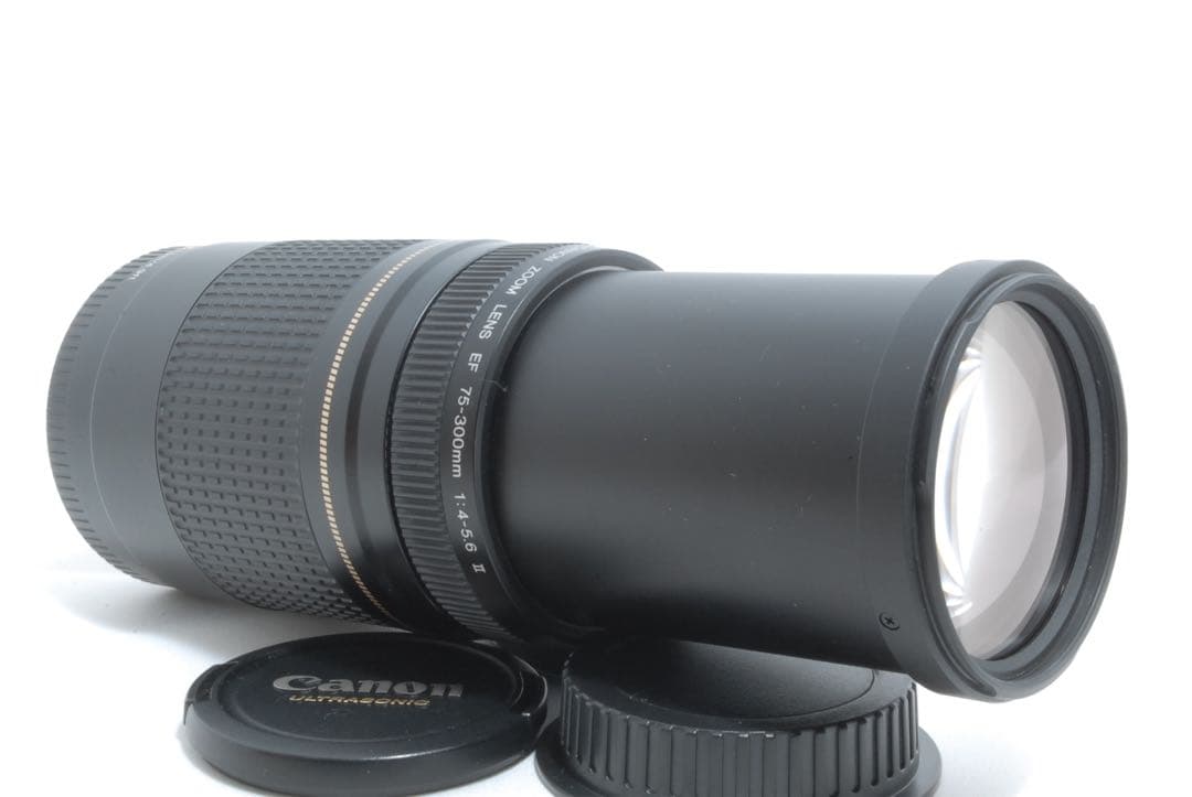 ⭐️キャノン⭐️フード付き⭐️ CANON EF 75-300mm II USM 望遠
