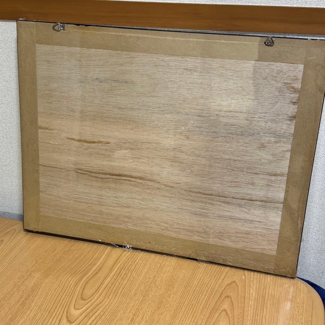 蝶 標本 額入り 22種　モルフォ　等　昆虫標本 蝶標本 まとめ売り