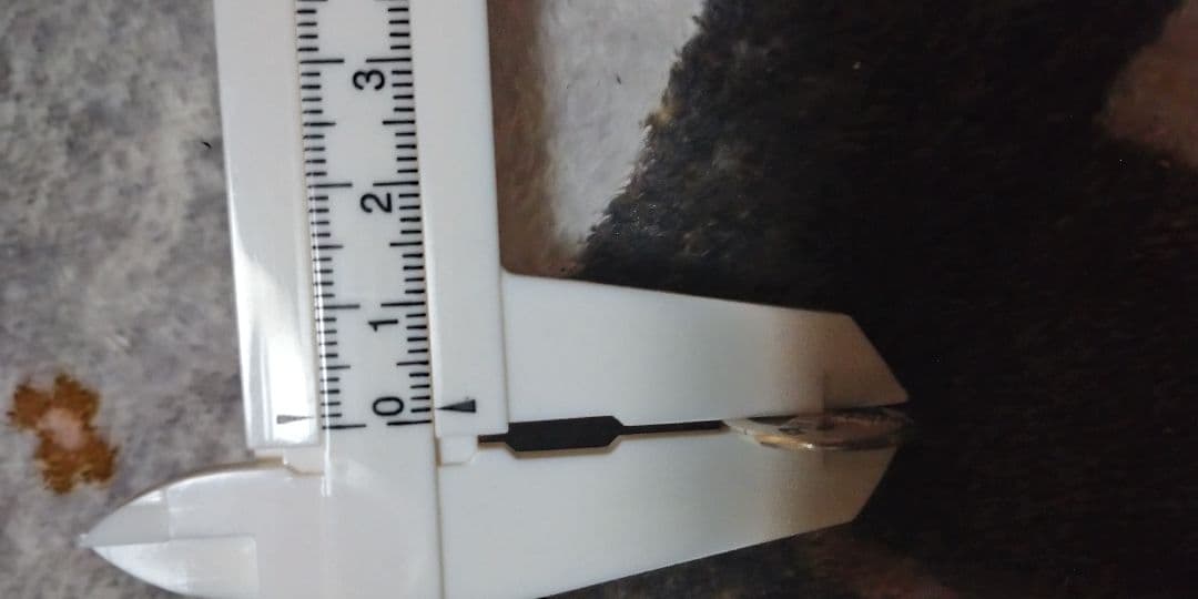 K*様 ブリング鑑定済み ゴローズSVホイール メディスンホイール