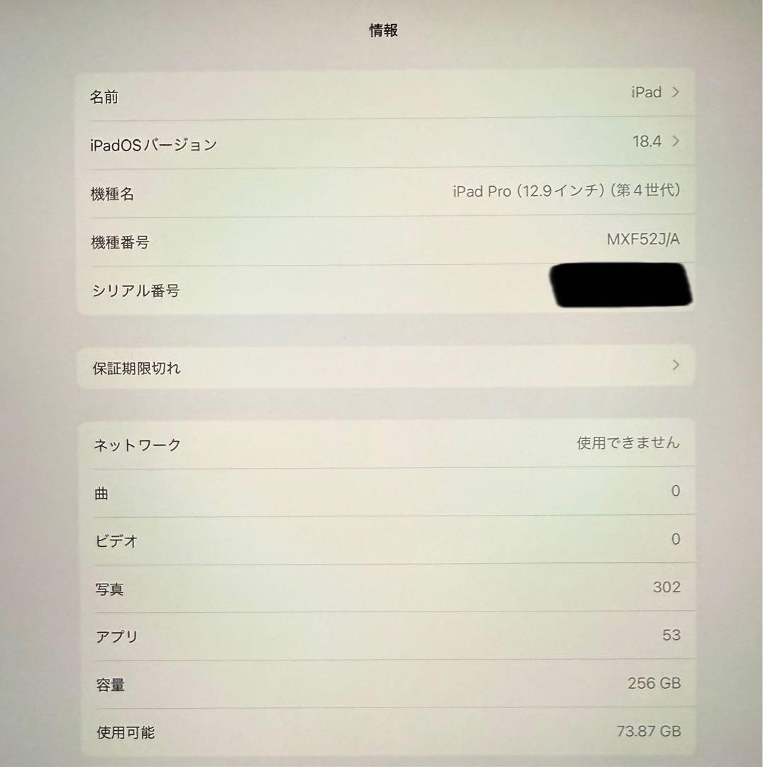 iPad本体 iPad pro12.9 256GB Wi-Fi + Cellular