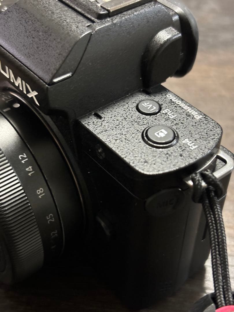 LUMIX　G100 付属品多数