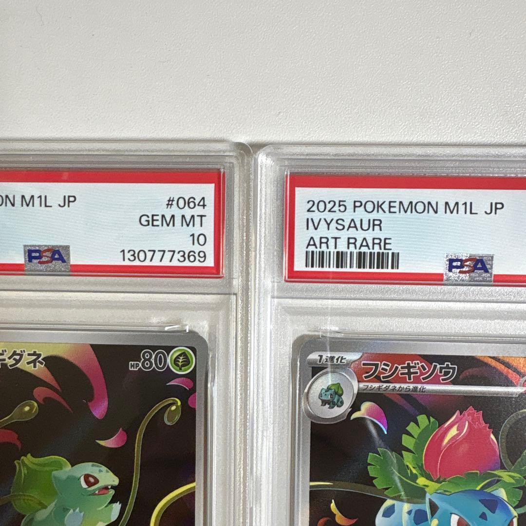 PSA10 3連番 メガフシギバナex SAR 進化ライン ポケモンカード