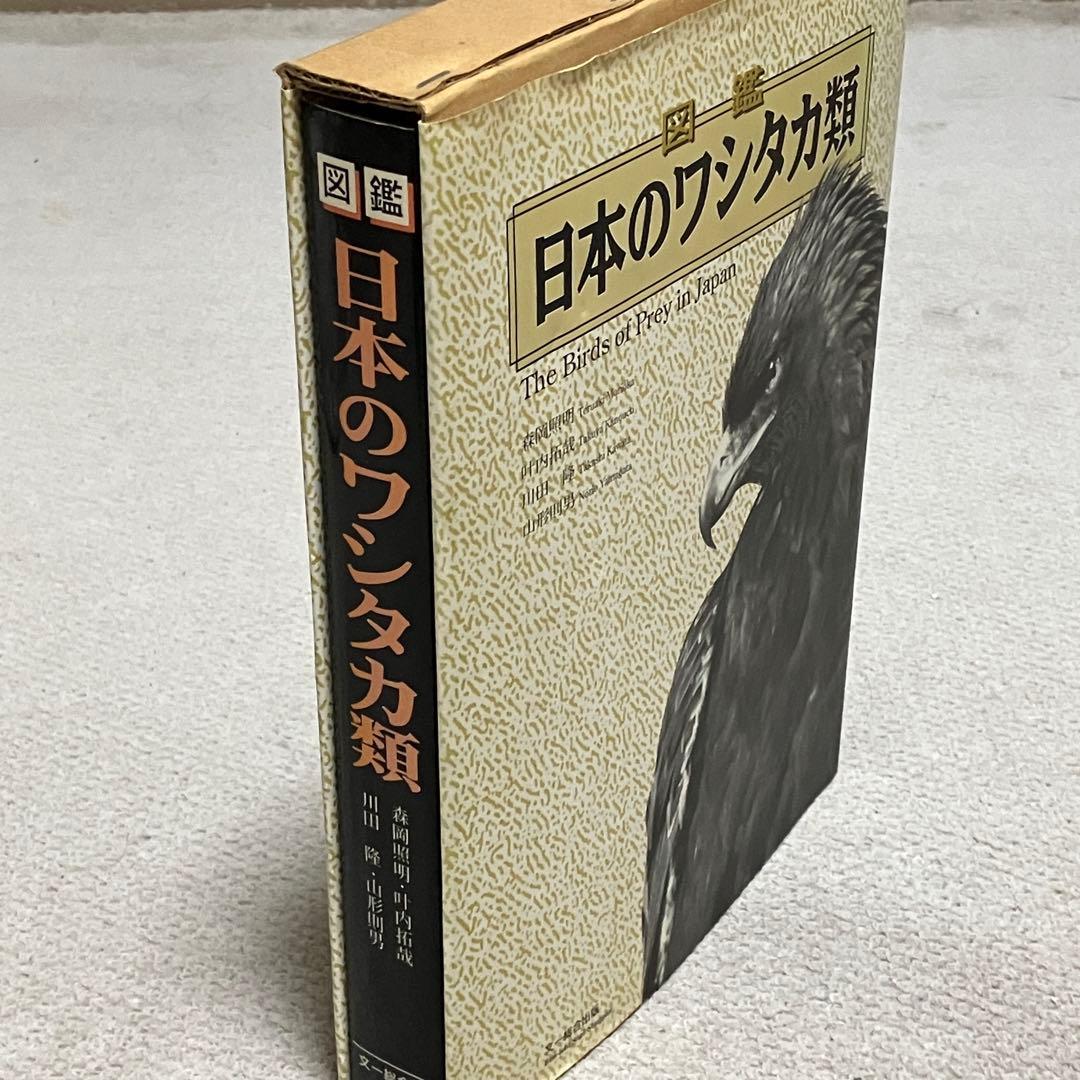 図鑑　日本のワシタカ類