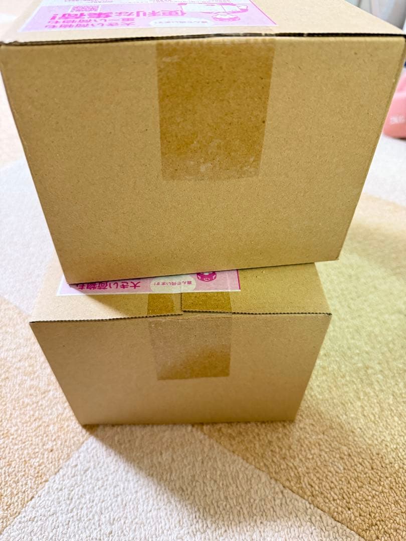 新品シュリンク ポケモンセンタートウホク スペシャル×2BOX