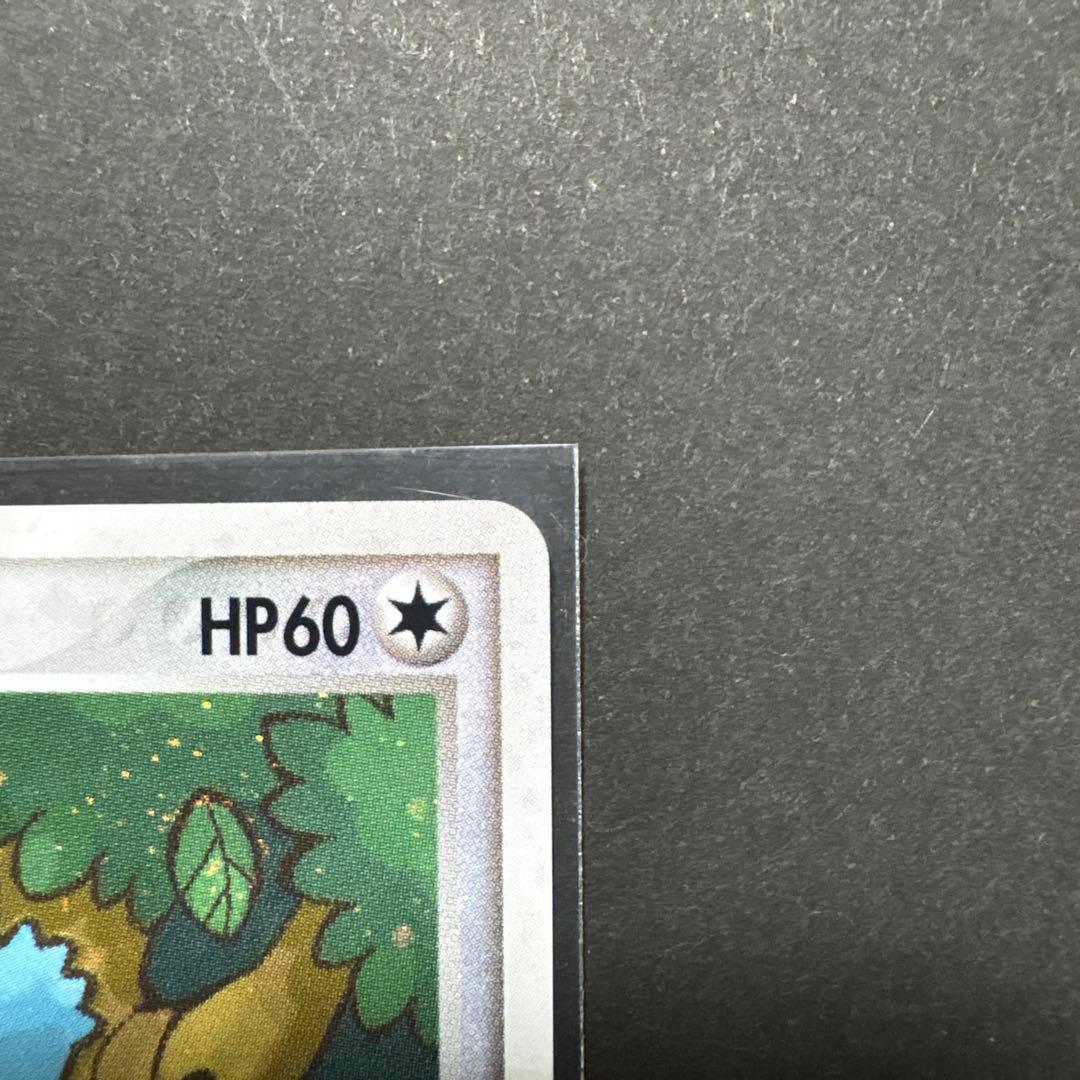 ポケパークのゴンベ ポケパークプレミアムファイル 008/009　2005年