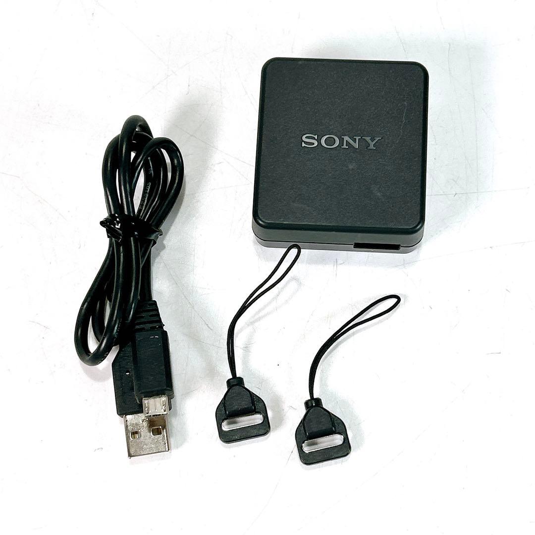 SONY DSC-RX100M2 1.0型センサー F1.8 ブラック