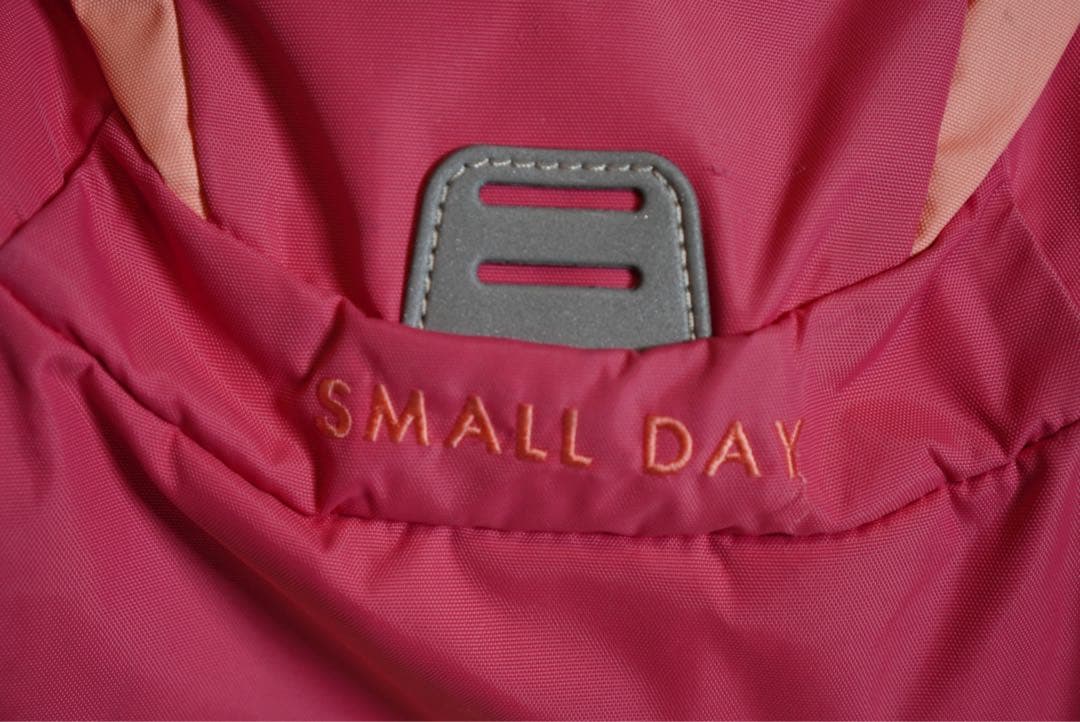 【美品】THE NORTH FACE SMALL DAY 子供リュックサック