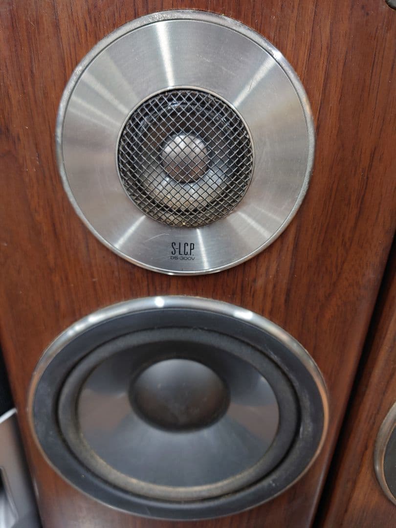 ★☆DIATONE DS-300V スピーカーペア