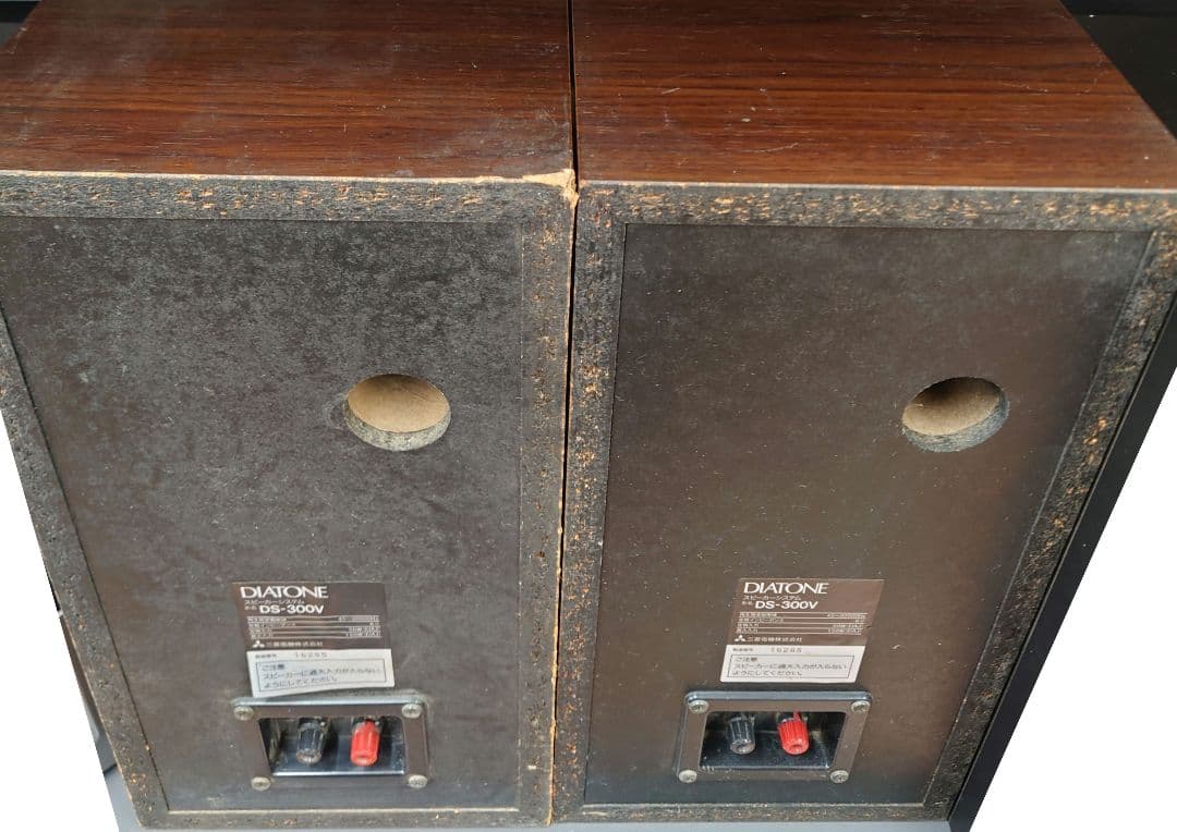 ★☆DIATONE DS-300V スピーカーペア