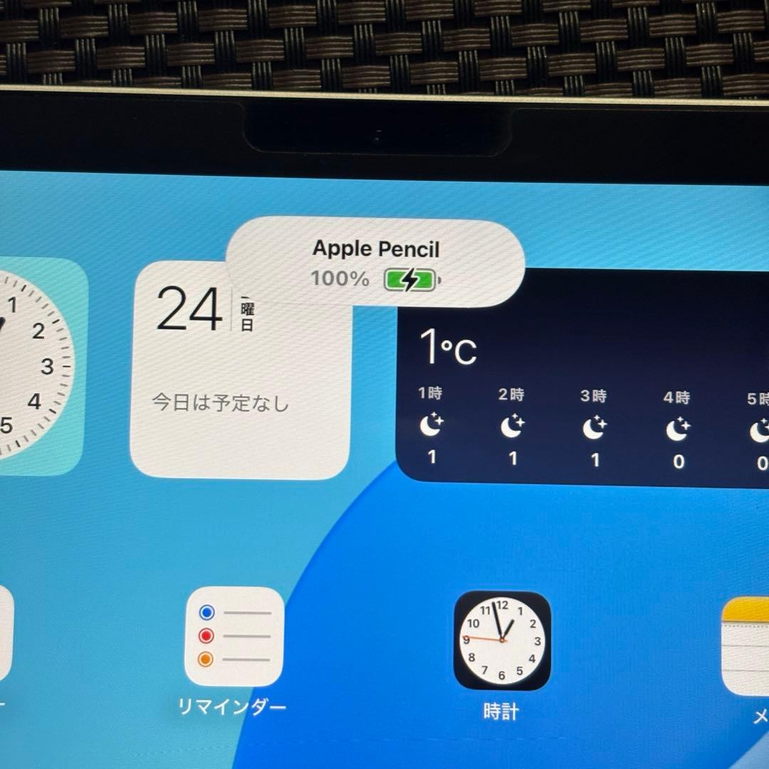 【美品】Apple Pencil・iPadAir(第4世代)256GB セット