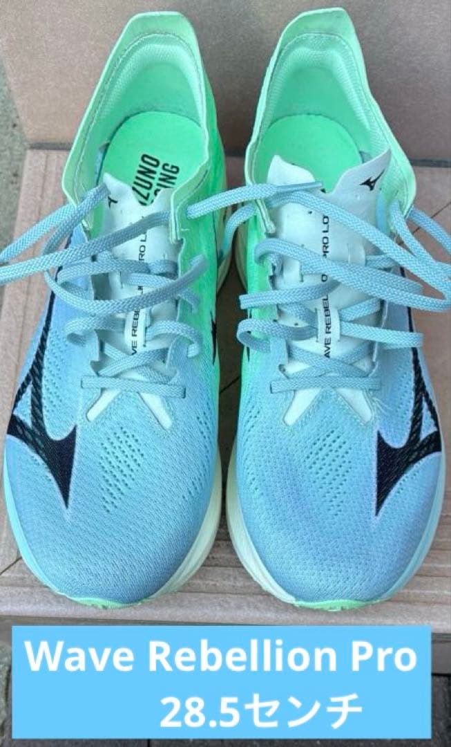 天*ま様 ウェーブリベリオンプロLow 28.5㌢