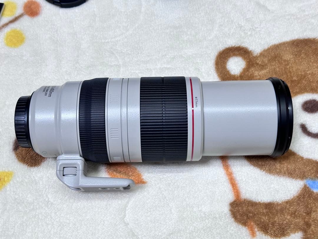 EF100-400mm f/4.5-5.6L IS II USM+エクステンダー
