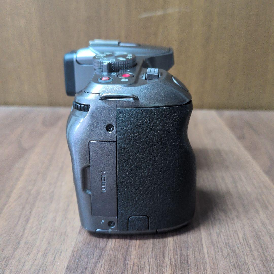 N*a様 LUMIX G DMC-G6 ミラーレス一眼カメラ 14-42mmレン