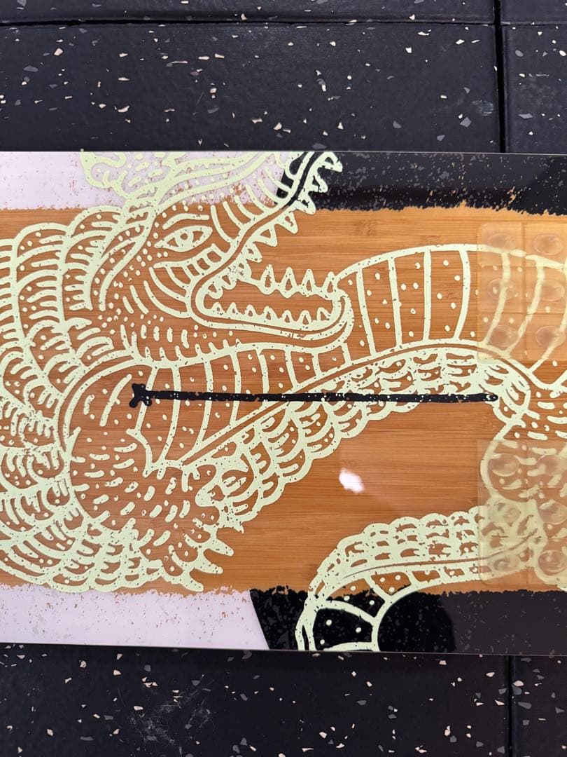 SALOMON ASSASSIN 19-20 156cm サロモン　アサシン