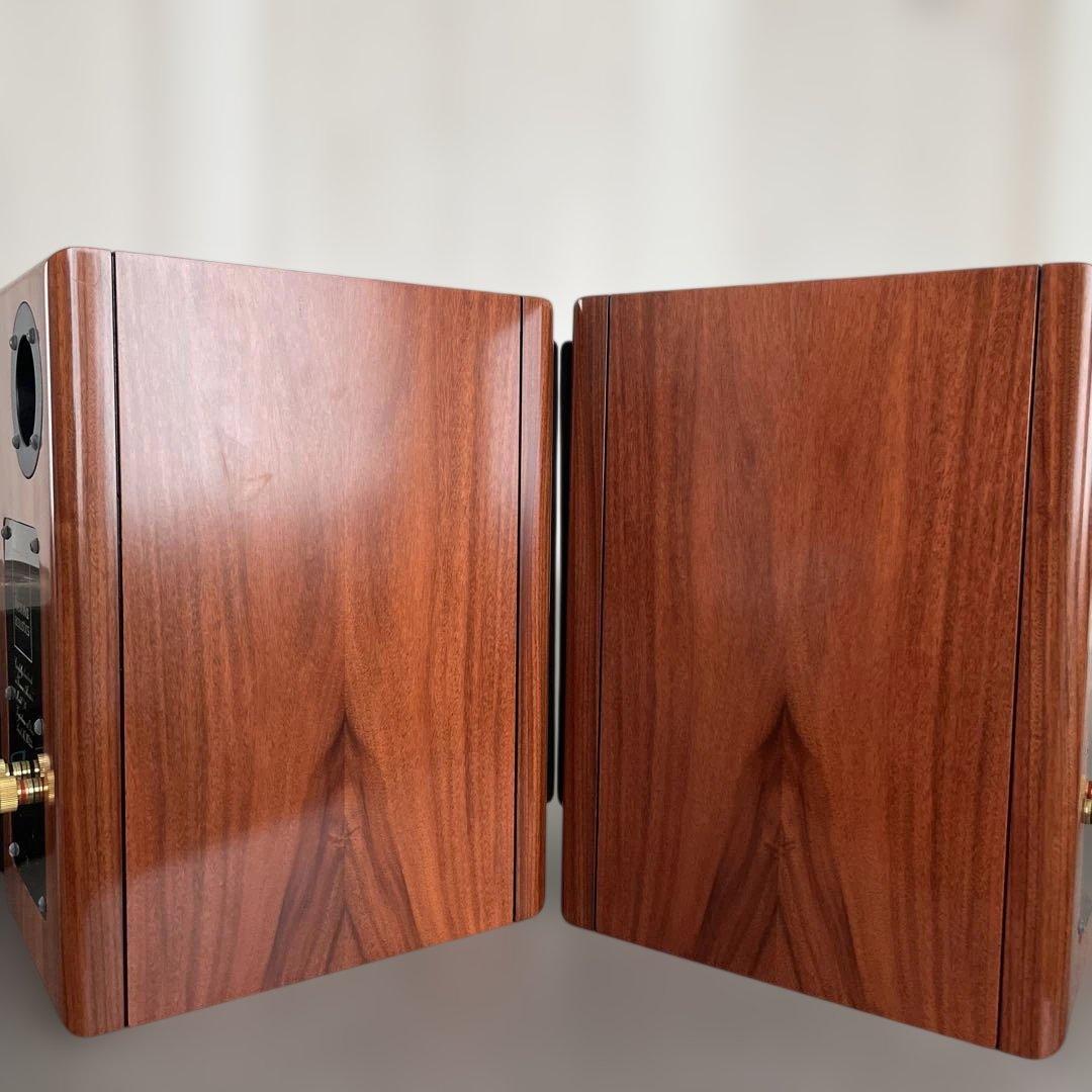Vienna acoustics Model S1 ペア 要メンテナンス