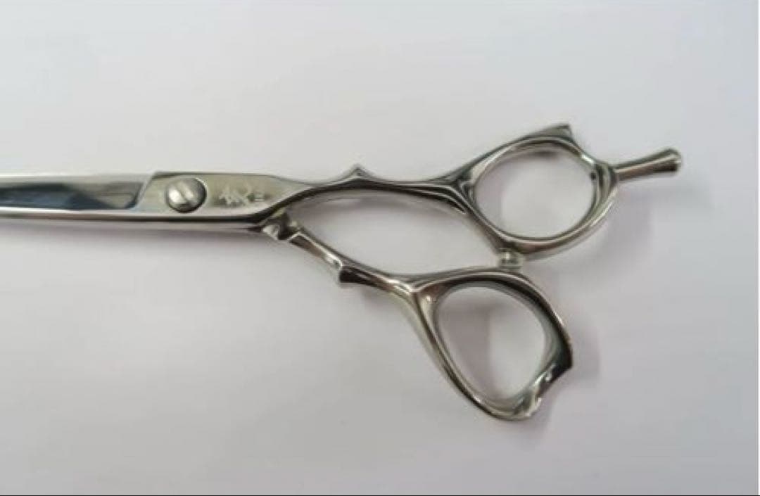 ラ*ム様 最終値下げ 光シザー BEAM COSMOS 5.5インチ 美品