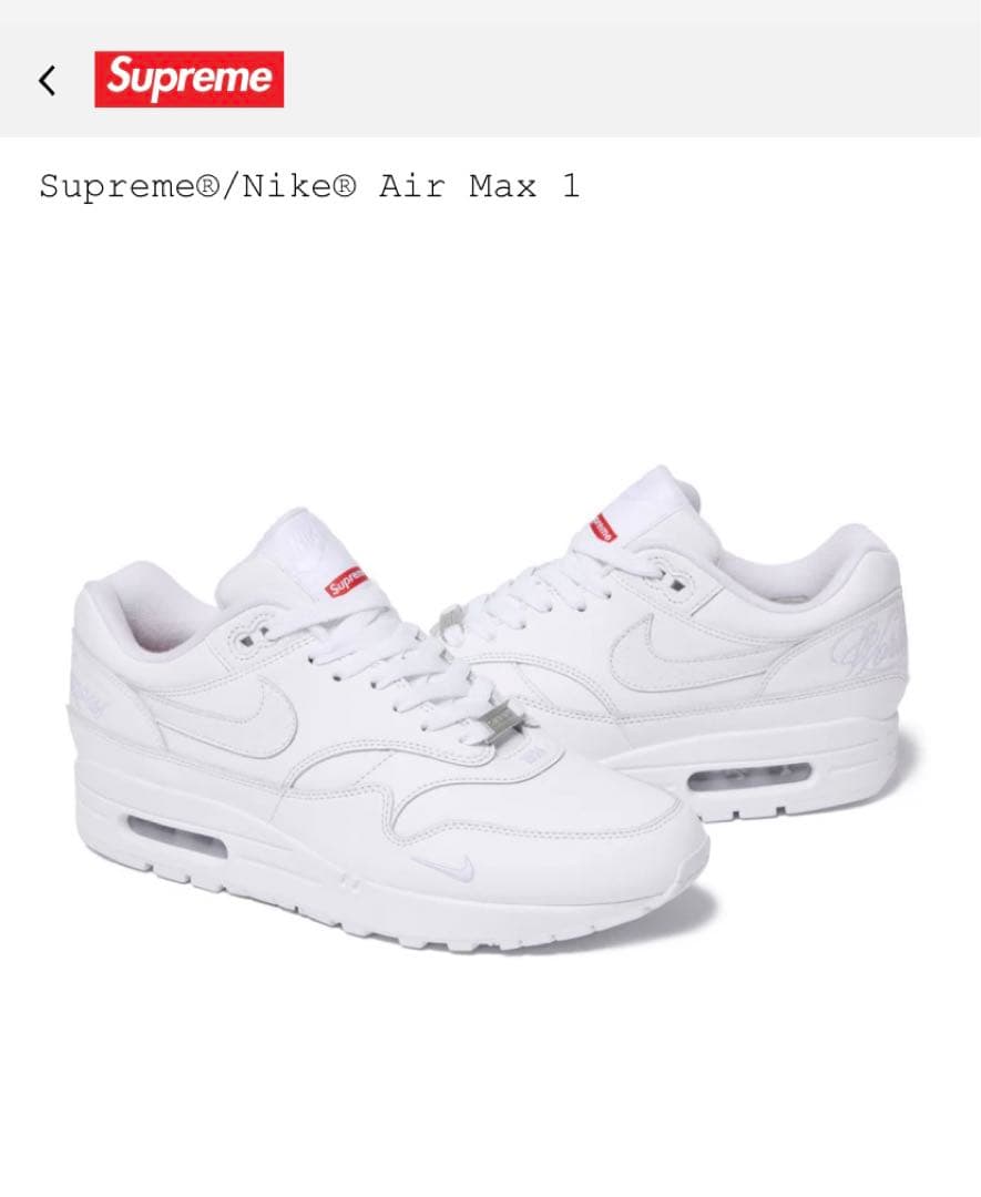 スケートボード Supreme Nike Air Max 1 White 29.5