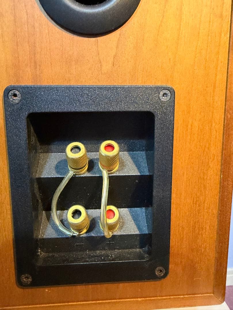 スピーカー・ウーファー zappamanTANNOY revolution r1