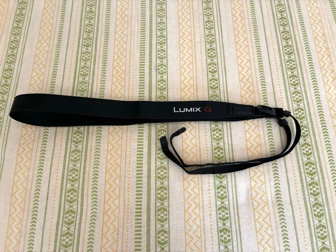 LUMIX DC-G100DK ミラーレス一眼 レンズキット