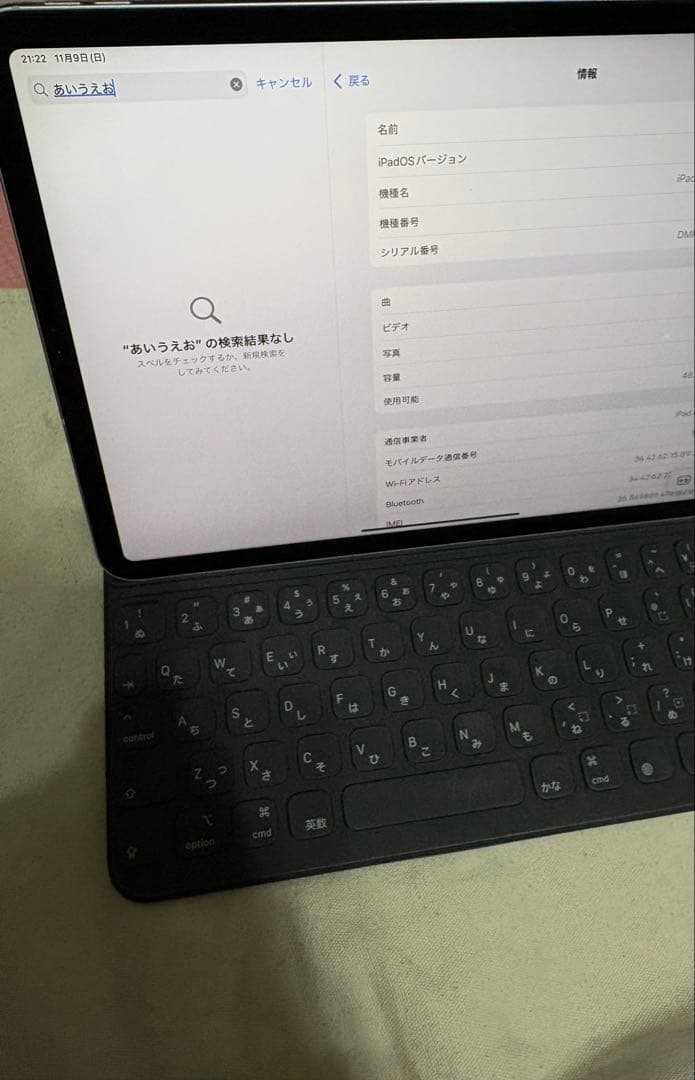 【ジャンク品】iPad Pro 11インチ 64GB 第1世代 ケース・ペンシル