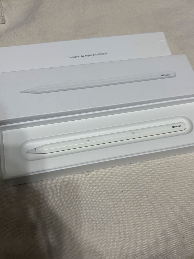 【ジャンク品】iPad Pro 11インチ 64GB 第1世代 ケース・ペンシル