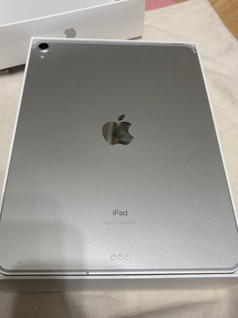 【ジャンク品】iPad Pro 11インチ 64GB 第1世代 ケース・ペンシル