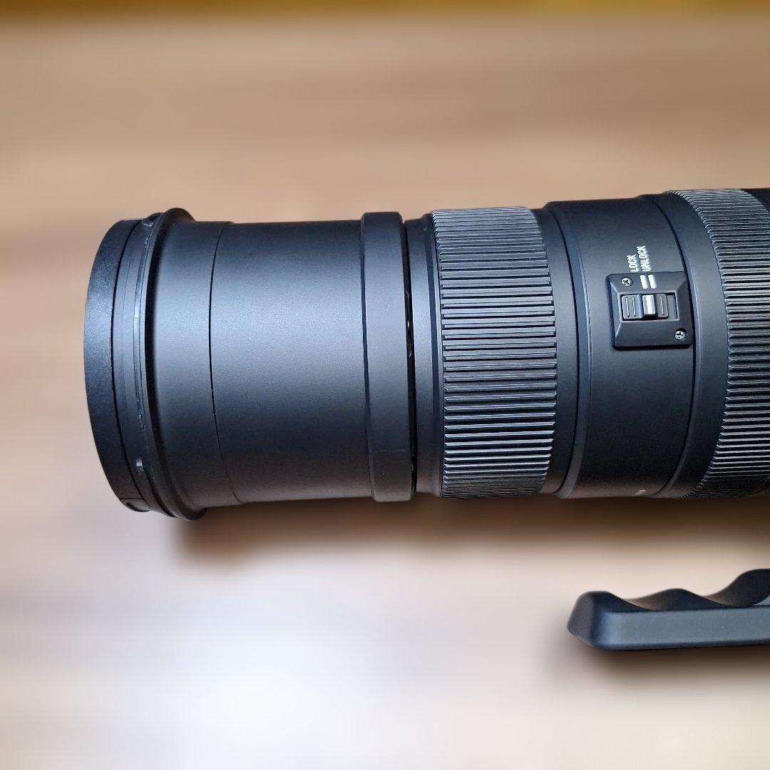 ★SIGMA★シグマ★APO150-500F5-6.3DG