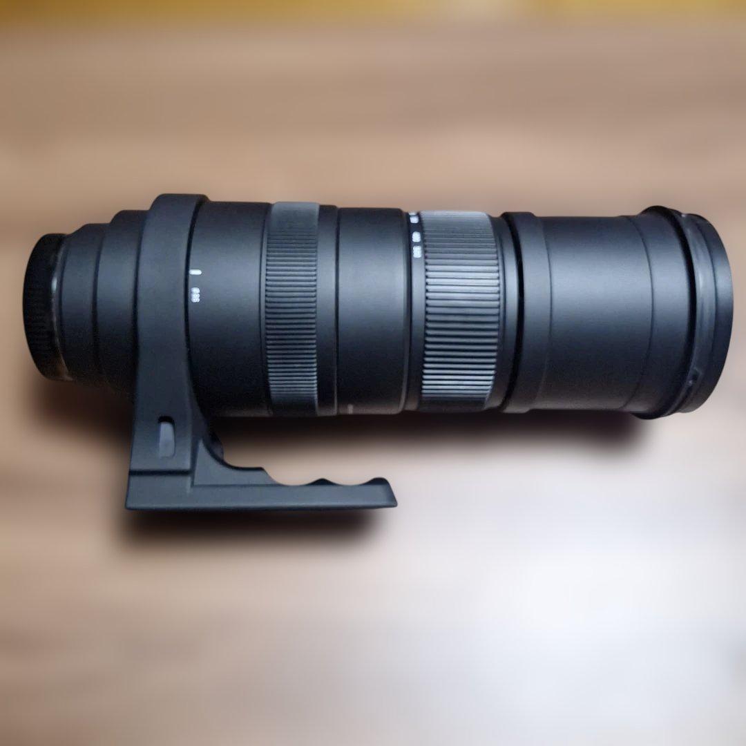 ★SIGMA★シグマ★APO150-500F5-6.3DG