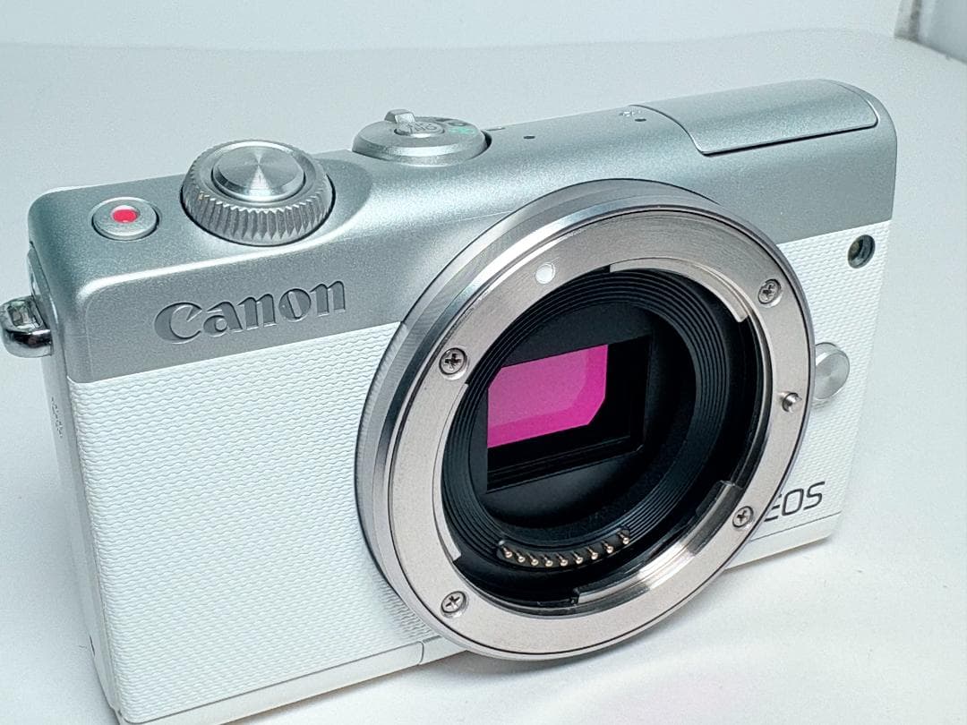 極上品 キヤノン EOS M100 ボディ