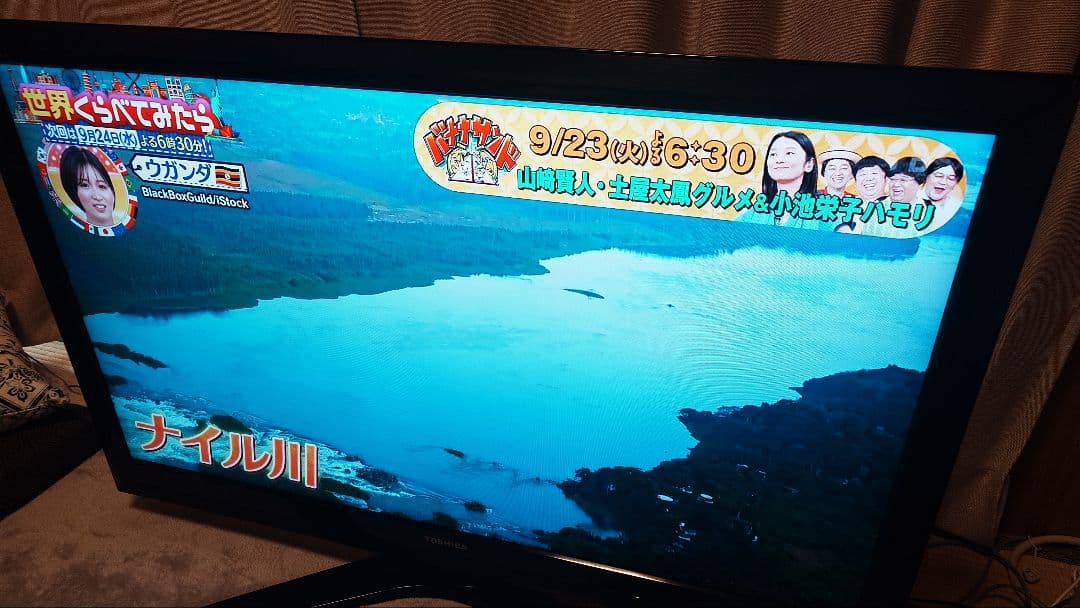 TOSHIBA REGZA 42型液晶テレビ 42Z1