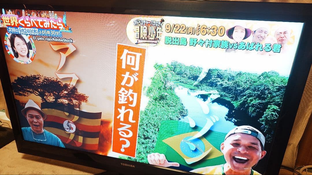 TOSHIBA REGZA 42型液晶テレビ 42Z1