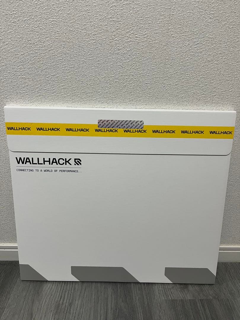 WALLHACK ミステリーボックスSY-001 FRENZY SORA未開封品