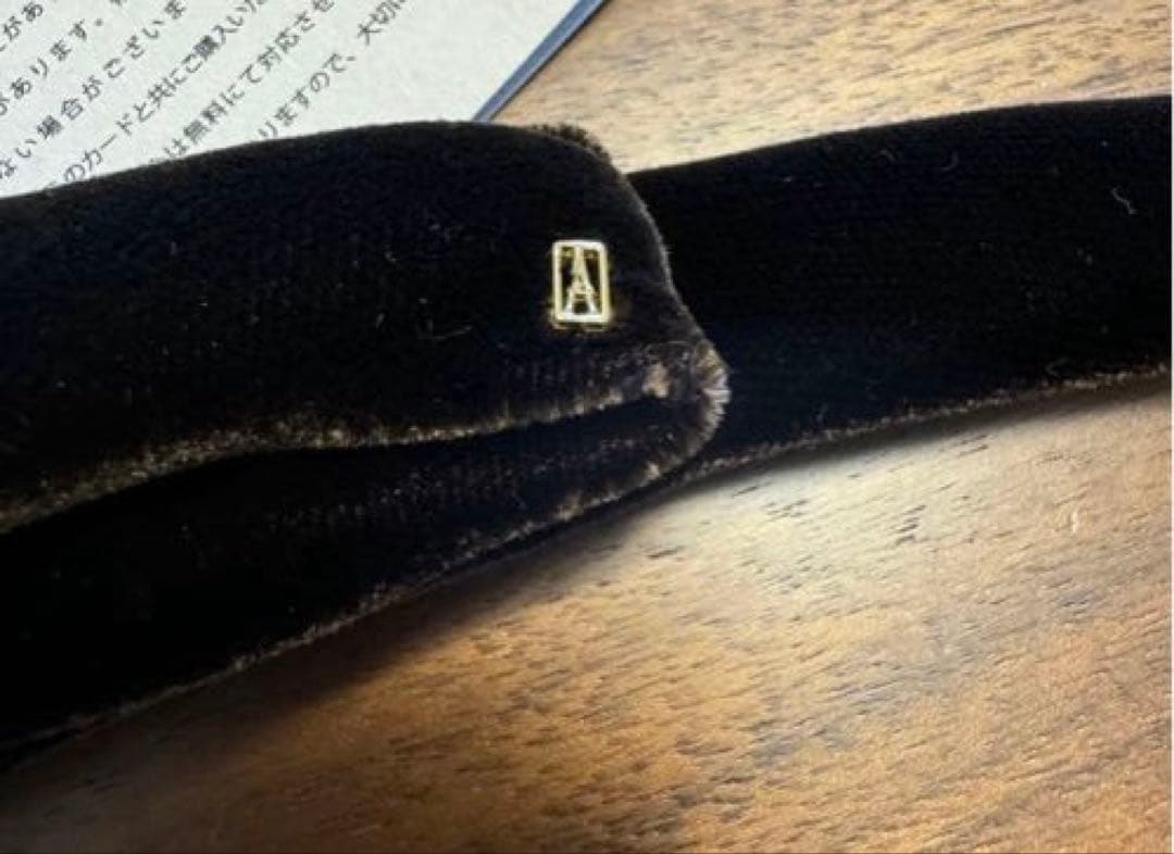 アレクサンドルドゥパリ ポニー