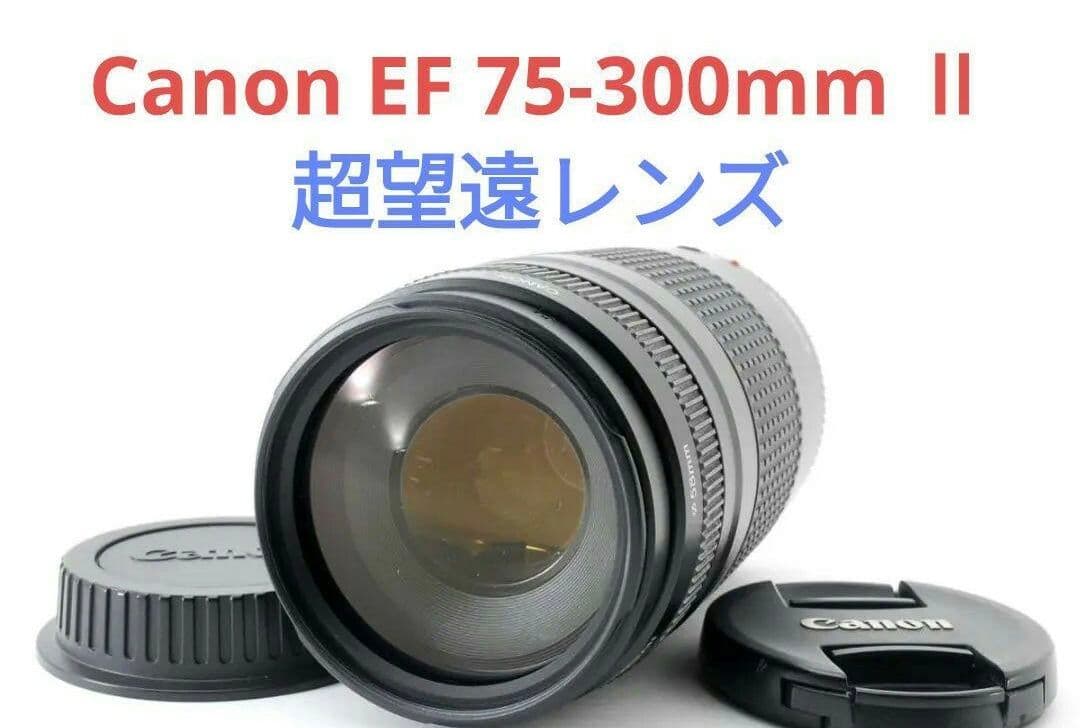 5月17日限定特価♪【超望遠レンズ】Canon EF 75-300mm Ⅱ