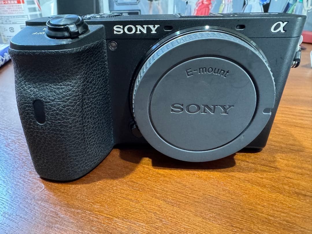 SONY ミラーレスカメラ α6600