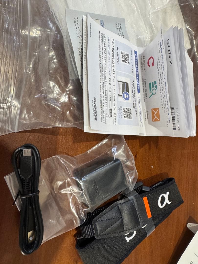 SONY ミラーレスカメラ α6600