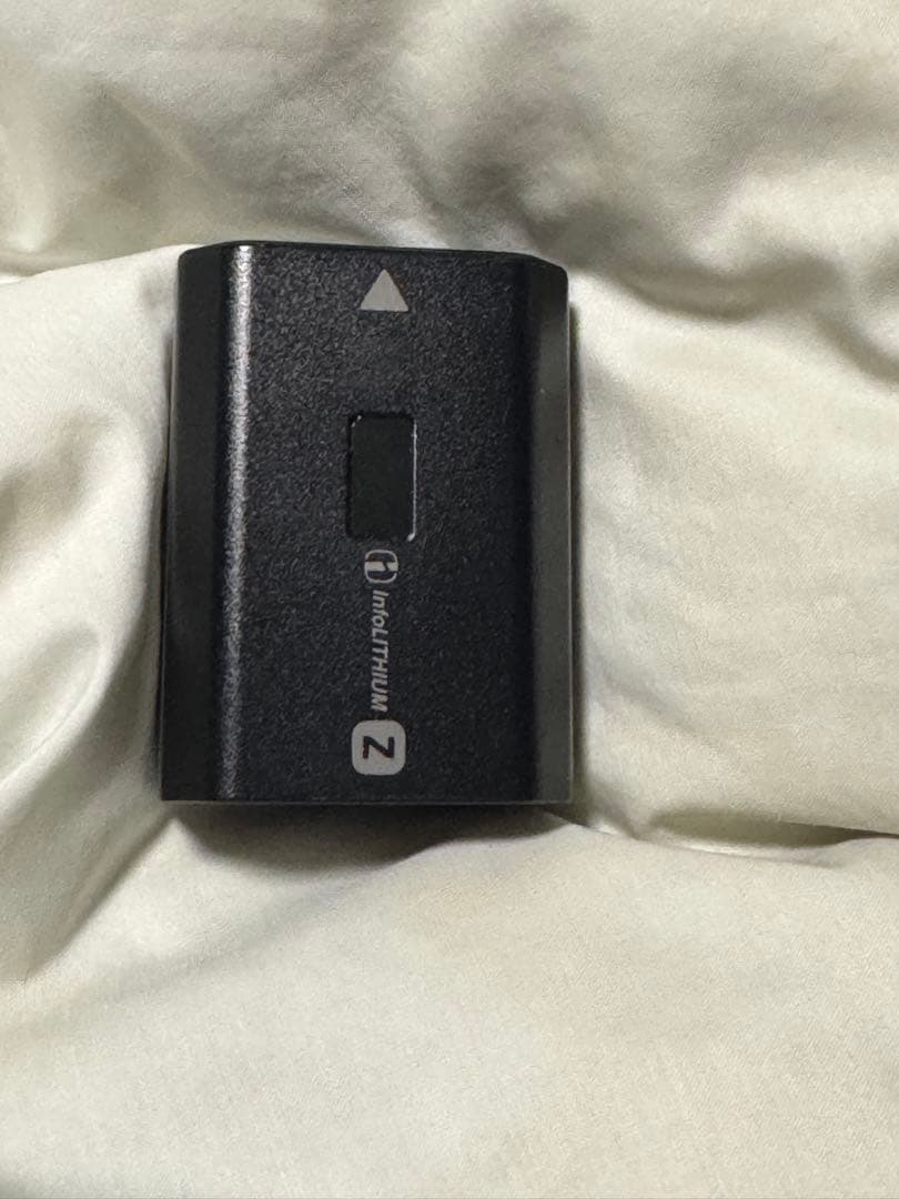 SONY ミラーレスカメラ α6600