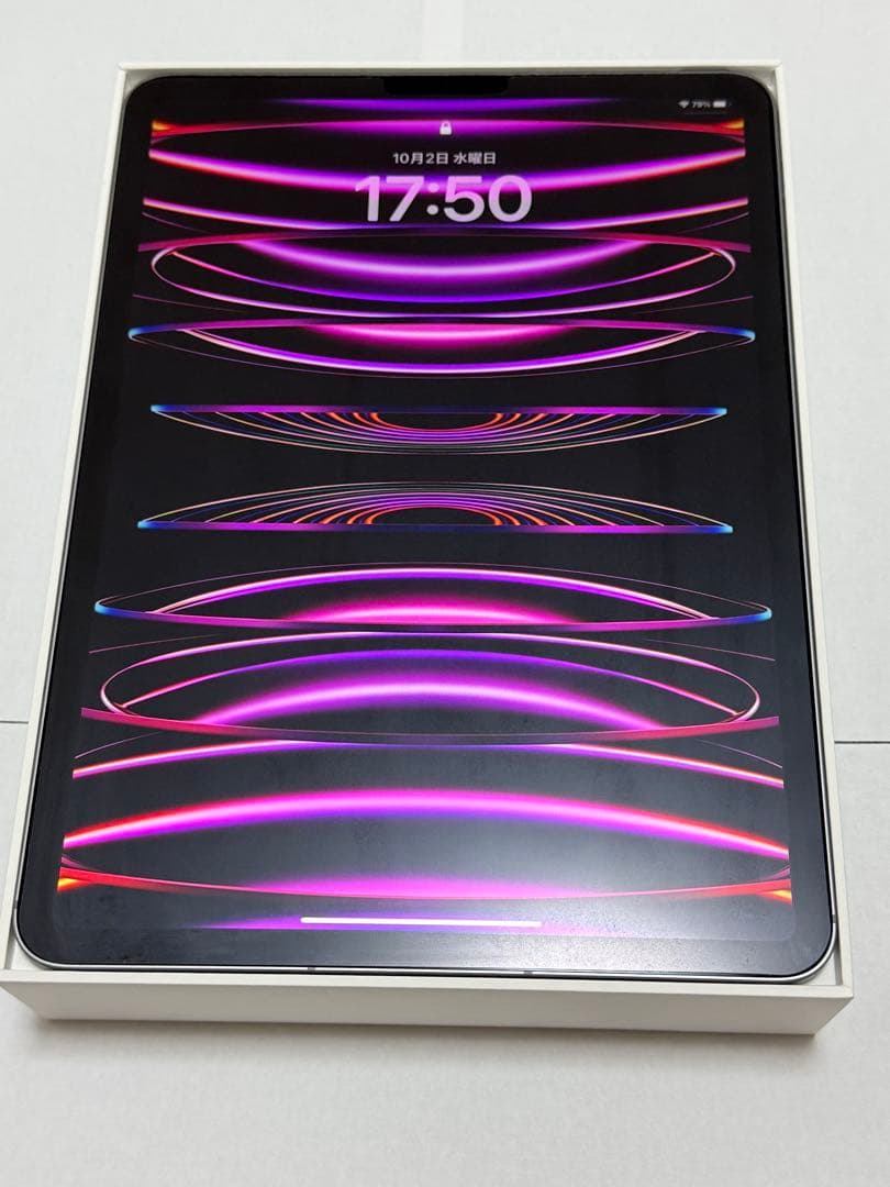Apple iPad Pro 本体 256GB セルラー