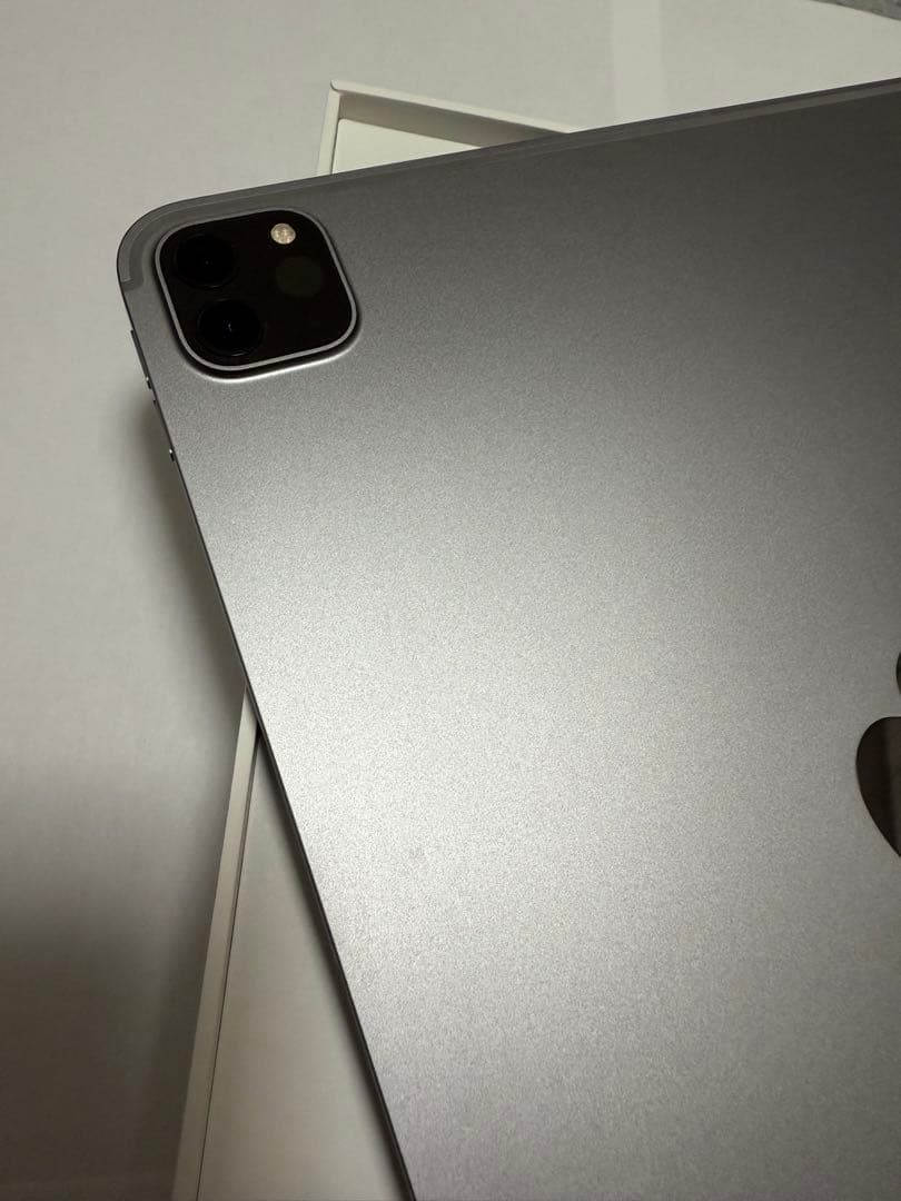 Apple iPad Pro 本体 256GB セルラー