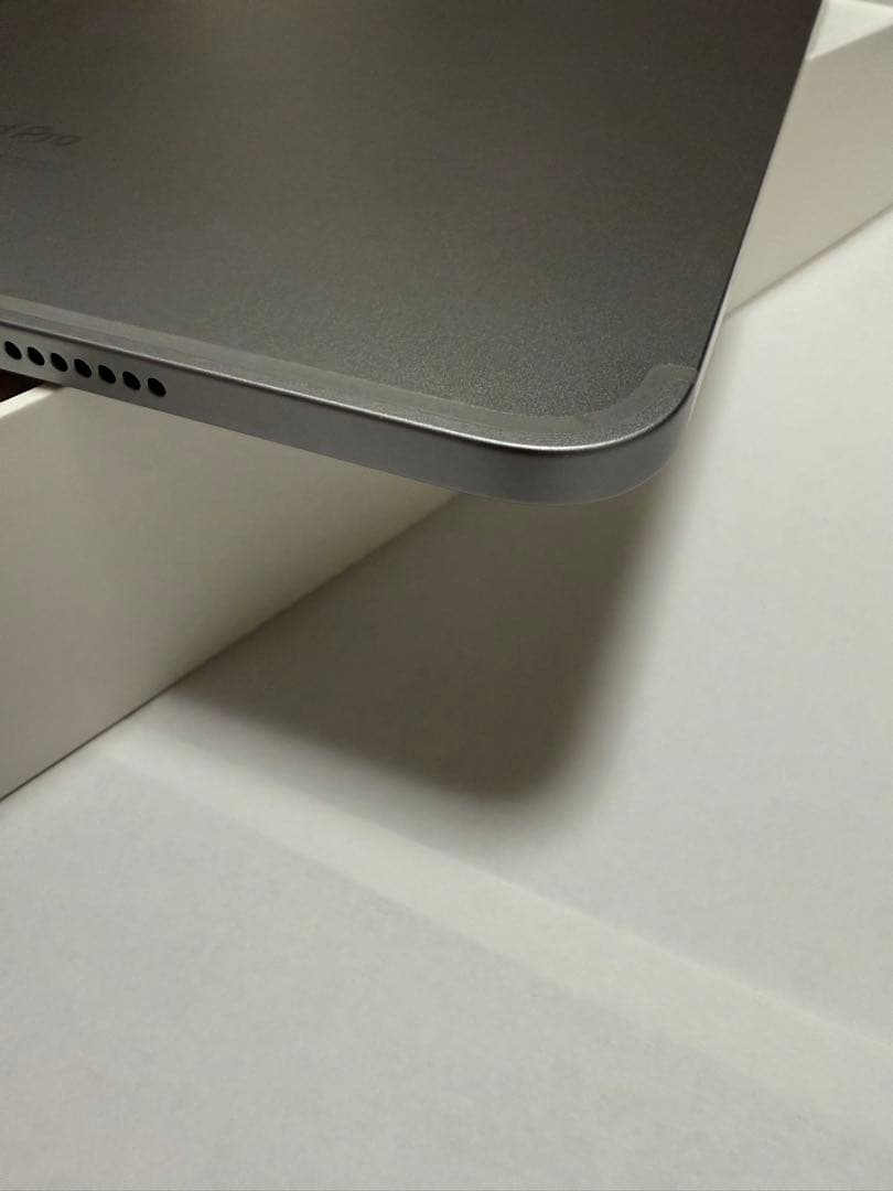 Apple iPad Pro 本体 256GB セルラー