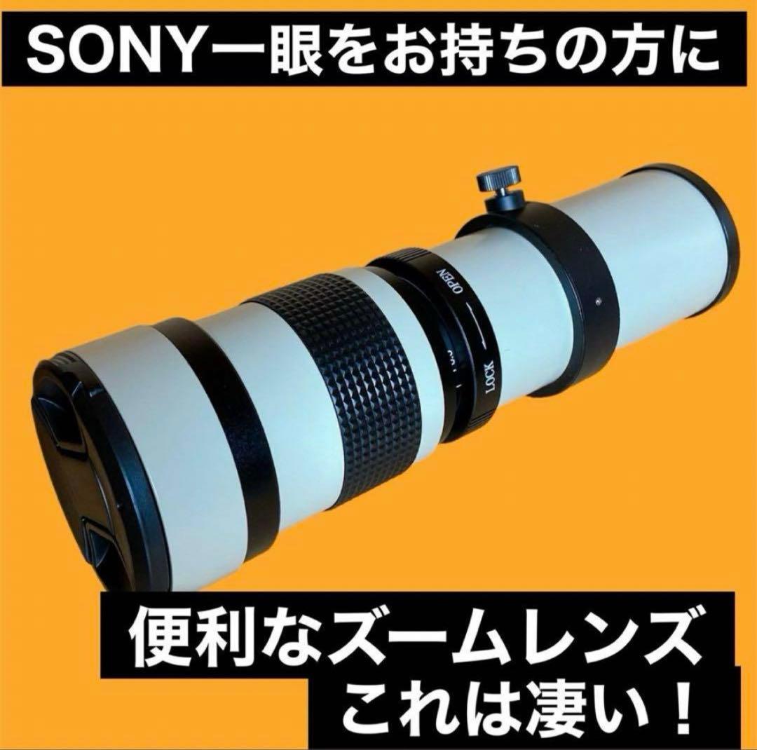 緊急価格！初心者OK！SONYミラーレスカメラ用望遠レンズ！遠く！便利な袋付き！