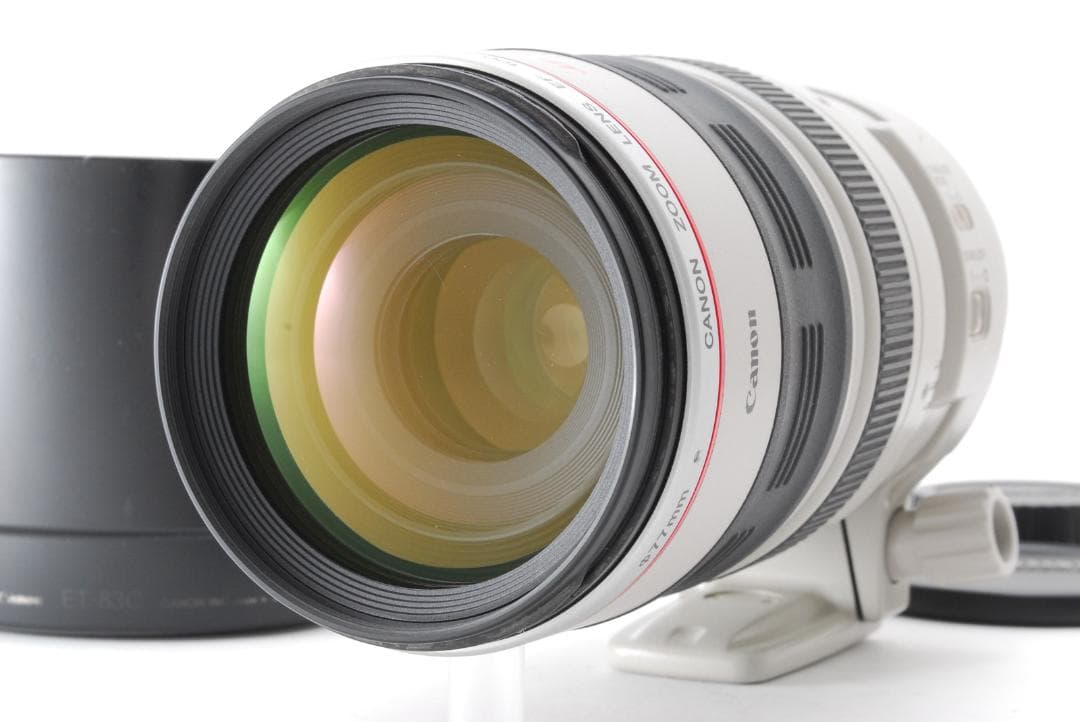 レンズ(ズーム) Canon EF 100-400mm 4.5-5.6 L IS USM #290