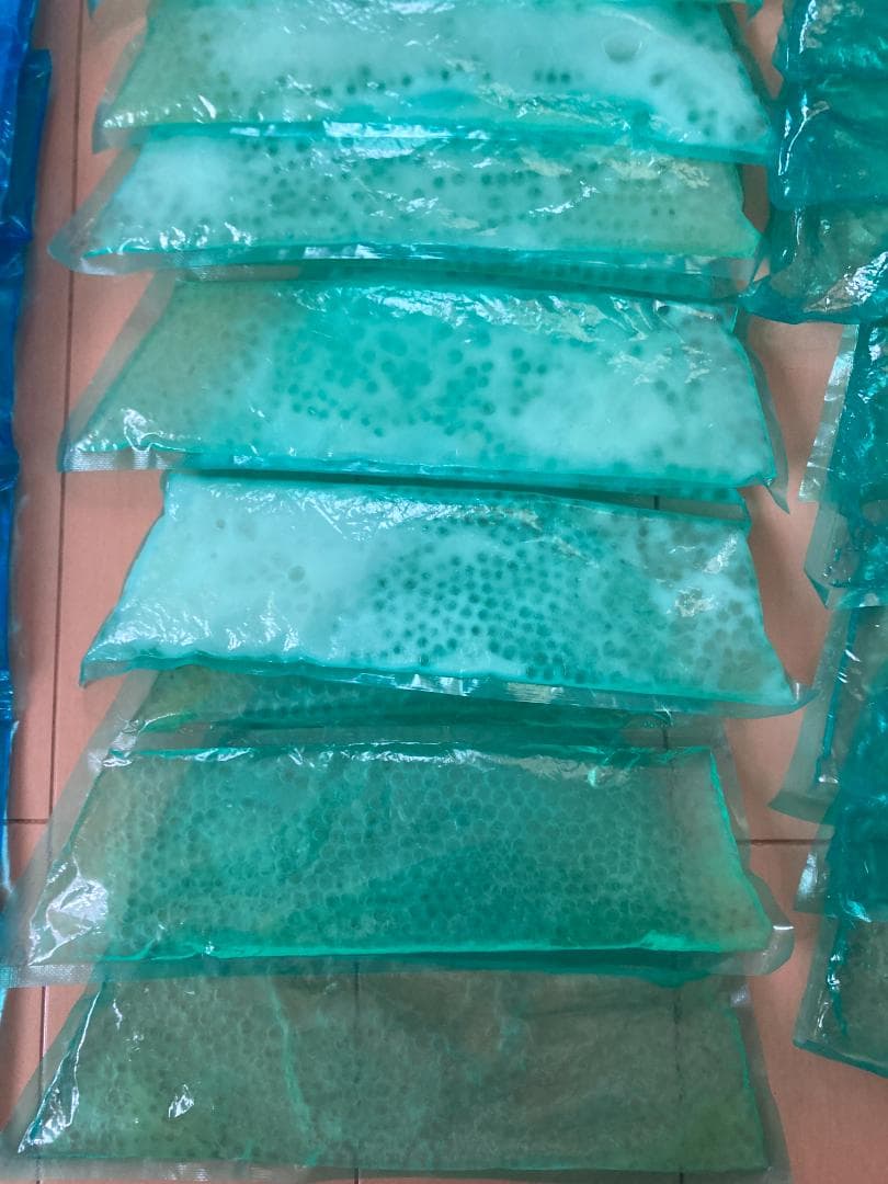 (Eternellement belle)愛帽　アイスジャパン　頭皮冷却帽