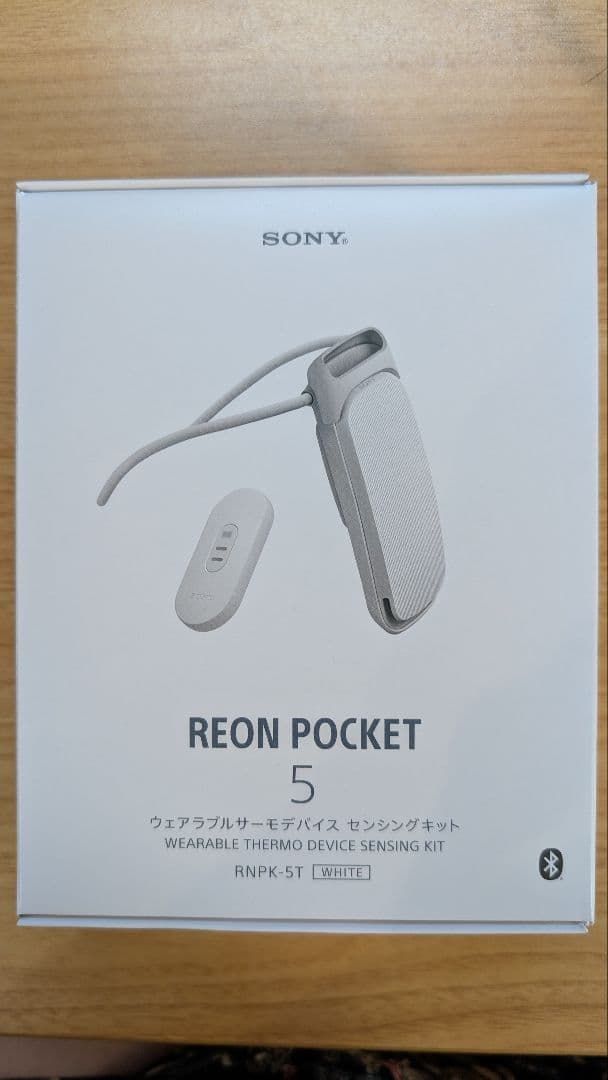 SONY REON POCKET 5（外箱・純正ポーチ付）