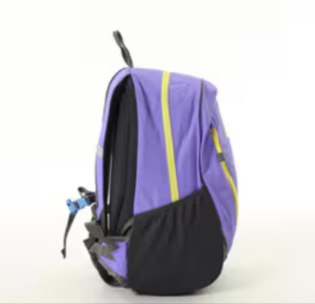 新品未使用タグ付きノースフェイス　ラウンディ　キッズ　リュック　22L