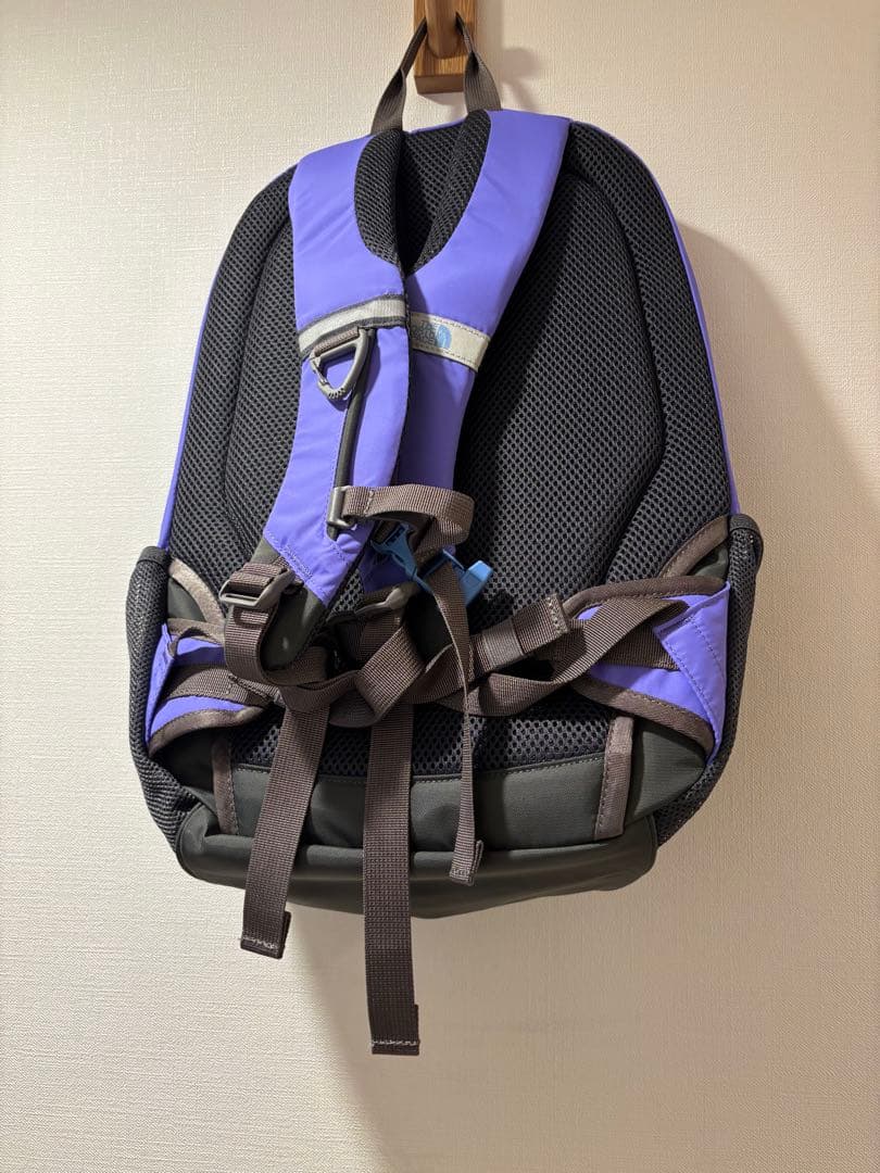 新品未使用タグ付きノースフェイス　ラウンディ　キッズ　リュック　22L