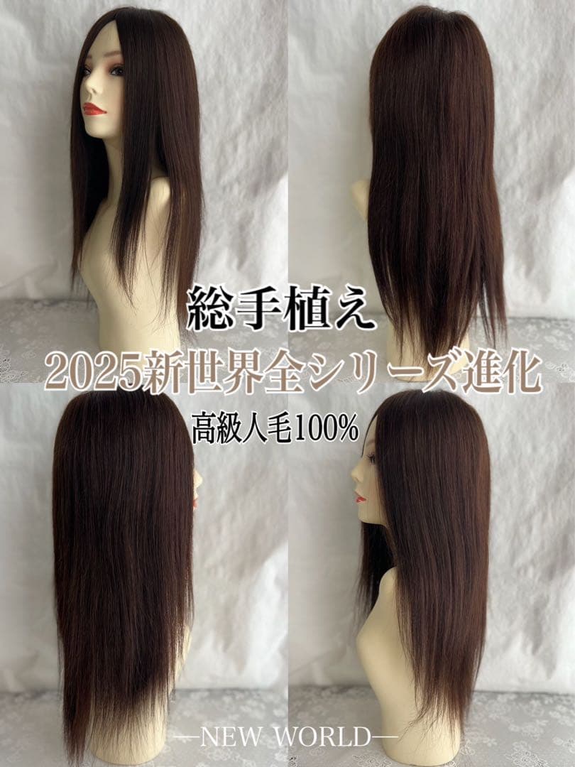2025新世界　人毛100%　フルウィッグ　シルクスキン　医療ウィッグ